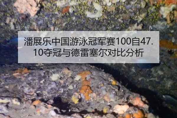 潘展乐中国游泳冠军赛100自47.10夺冠与德雷塞尔对比分析