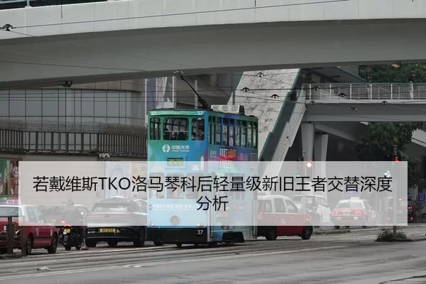 若戴维斯TKO洛马琴科后轻量级新旧王者交替深度分析